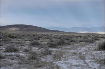 NV, Eureka, 20.00 Acres Crescent Valley, T29N, R48E, section 29 S2NE4SW4. TERMS $251/Month