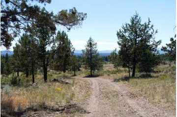 OR, Klamath, 2.40 Acres Klamath Falls Forest Estates Lot 2 Block 8. TERMS $325/Month