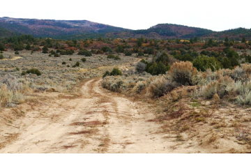 NM, Rio Arriba, 1.72 Acre Chama River Estates, Lots 18 & 19, Adj. TERMS $142/Month