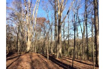 GA, Clarke, 13 Acres Oak Grove Rd