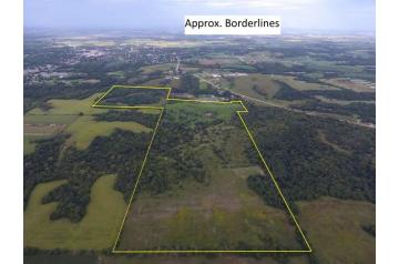 IA, Monroe, 142 Acres Albia Buck Farm