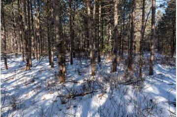 WI, Juneau, 80 Acres, 7th Ave, New Lisbon