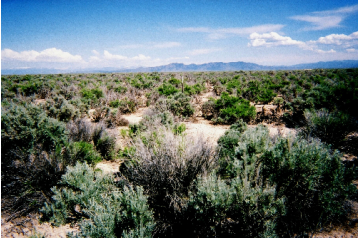 UT, Iron, 0.16 Acres Beryl Townsite Lot 6 Block 92.