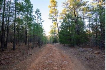 OK, Latimer, 15.76 Acre Stone Bridge II, Lot 101