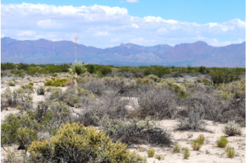 NM, Luna, 1 Acre Deming Ranchettes, Lots 18 & 19