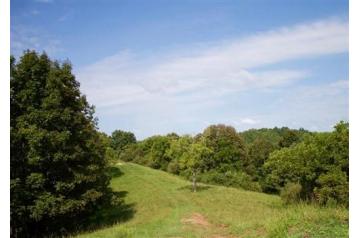 WV, Roane, 8.82 Acre Heritage Hollow
