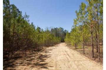 MS, Tishomingo, 5.01 Acres Southern Hills, Lot 1