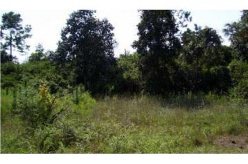 FL, Bay, 0.46 Acres, Florida Highway Estates