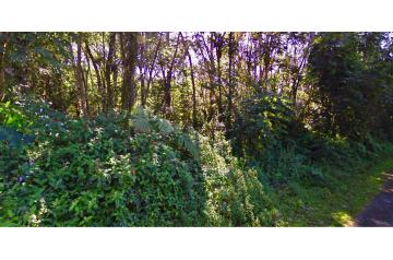 HI, Near Hilo, 0.18 Acres Nanawale Estates, Plumeria Rd. Electricity, Water. TERMS $180/Month
