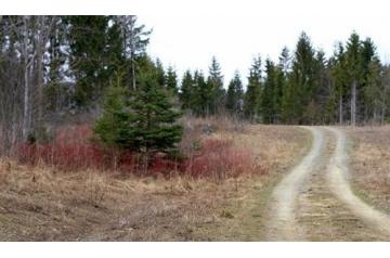 ME, Aroostook, 5.04 Acres Sunrise Estates