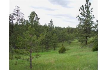 MT, Musselshell, 20 Acres Near Roundup.