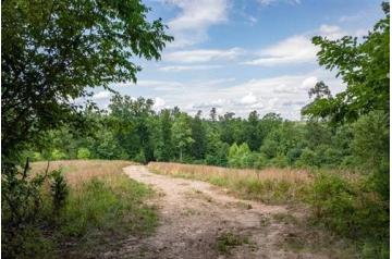 MO, Reynolds, 6.67 Acres Cypress Ridge, Lot 21