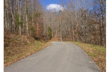 KY, Wayne, 2.06 Acre The Cliffs, Lot 1