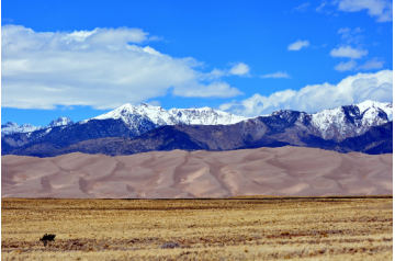 CO, Alamosa, 5.00 Acres Mount Blanca Estates, Lot 8