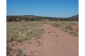 AZ, Navajo, 1.17 Acres Ranch of the Golden Horse, Lot 806 Unit 4. TERMS $56/Month