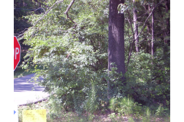 TX, Brown, 0.35 Acres Forest Grove, Lots 59 & 60