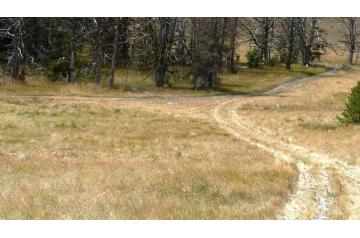 MT, Lewis And Clark, 20 Acres Stemple Pass, Lincoln