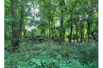 DE, Lincoln, 0.49 Acre, Route 213