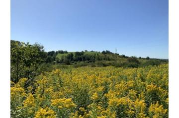 NY, Plainfield, 50 Acres  Skaneateles Turnpike, Lot 1