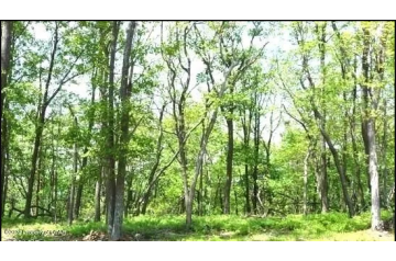 PA, Hazle Township, 7,841 sqft, Tw Buttonbush Ln, Lot 194