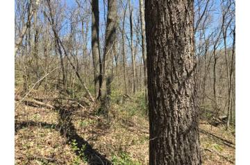 WI, Highland, 22.8 ac, County Rd Q