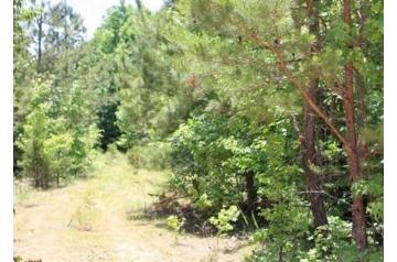 TN, Decatur County, 6 Acres Hickory Hill, Lot 10