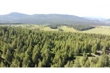 WA, Colville, 120 Acres - TBD Flora Road