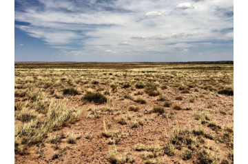 AZ, Navajo, 10 Acres Sun Valley , Section 11 T18N R22E: E2 S2 S2 Se4 Se4. TERMS $127/Month
