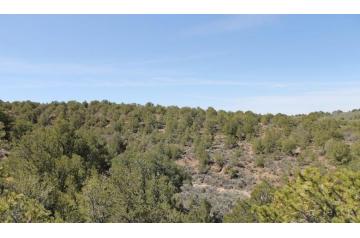 CO, Costilla, 5.12 Acre, Sangre De Cristo Ranches. TERMS $194/Month