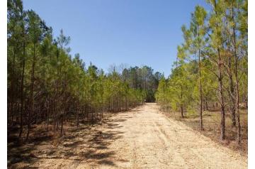 MS, Tishomingo, 5.01 Acres, Southern Hills Lot 1. TERMS $289/Month