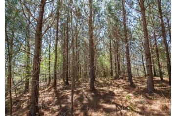 MS, Tishomingo, 5.01 Acres, Southern Hills Lot 1. TERMS $289/Month