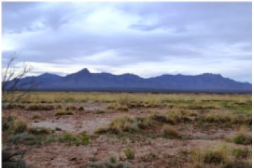 NM, Luna, 0.50 Acre, Sunshine Valley Ranchettes, Lot 30 Unit 18 Block 25. TERMS $25/Month