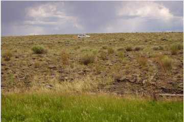 CO, Costilla, 0.25 Acres Rio Grande River Lot 884 Unit 1.