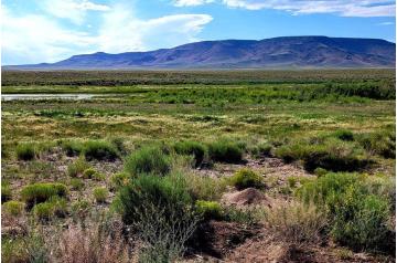 CO, Costilla, 0.25 Acres Rio Grande River Lot 884 Unit 1.